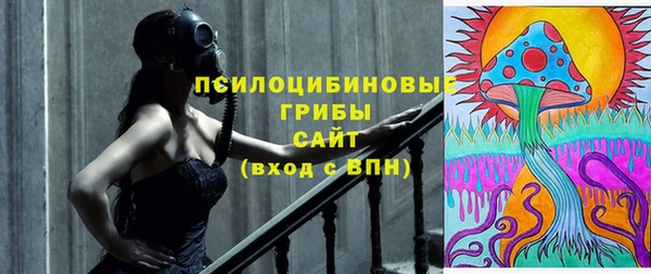 ешки Беломорск